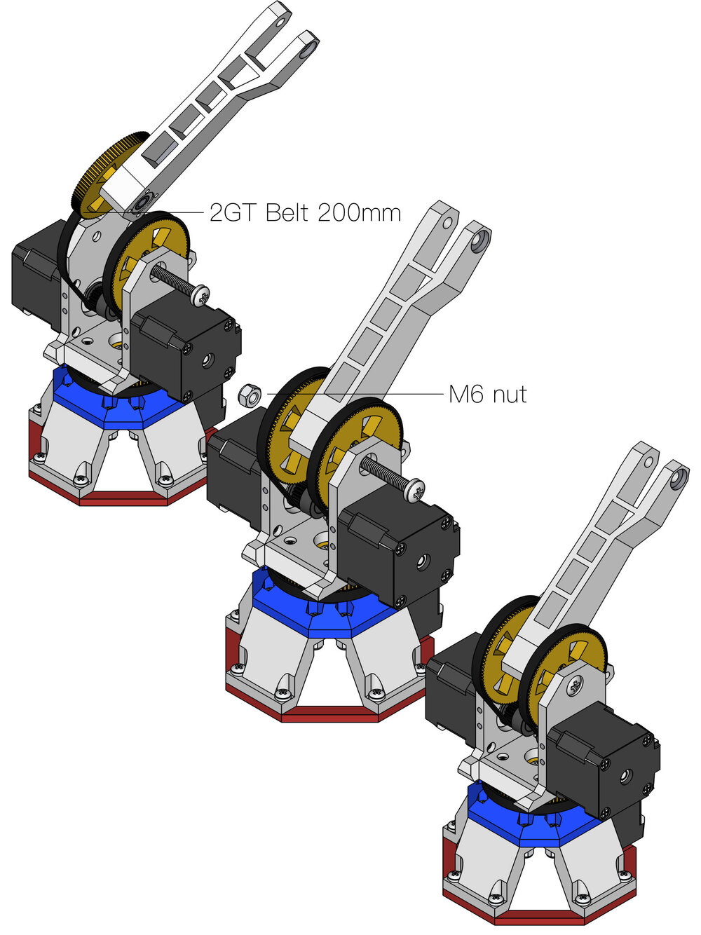 13 - lowershank_belt.jpg