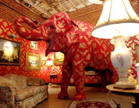 elephant in the room