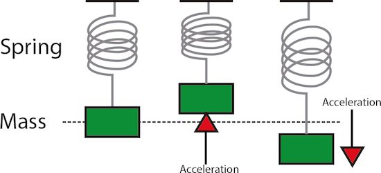 Spring Mass Diagram