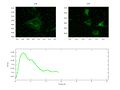 File:High-Throughput-Analysis-of-NF-B-Dynamics-in-Single-Cells-Reveals-Basal-Nuclear-Localization-of-NF-pone.0090104.s021.ogv