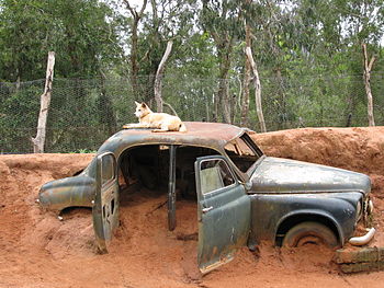 Cyclops & Dingo. (6937178784).jpg