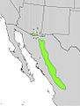 Arbutus arizonica range map.jpg