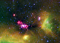 Infant Stars in Serpens.jpg