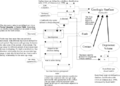 Schema for Geologic Surface.gif