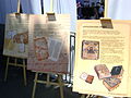 Tbilisi, Georgia — Celebration and Exhibition on Independence day, May 26, 2014 (11).JPG