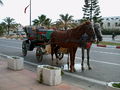 2007-11-21 Hammamet-Kutsche-2.JPG