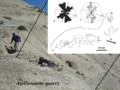 Aniksosaurus quarry.png