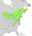 Betula alleghaniensis range map.jpg