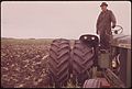 ON A FARM NEAR GRYGLA, A RETIRED FARMER SUPPLEMENTS HIS INCOME BY WORKING LAND BELONGING TO ANOTHER MAN - NARA - 554203.jpg