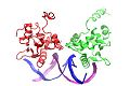 File:A-Novel-Approach-of-Dynamic-Cross-Correlation-Analysis-on-Molecular-Dynamics-Simulations-and-Its-pone.0112419.s015.ogv