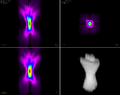 63x 1.4NA Confocal Point Spread Function 2+3D.png