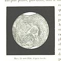 Image taken from page 548 of 'L'Espace céleste et la nature tropicale, description physique de l'univers ... préface de M. Babinet, dessins de Yan' Dargent' (11051941965).jpg