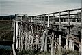 Dickerbram Bridge Miva QLD the river piers are cast iron cylinders and the rest of the piers are timber. It is the oldest bridge of its kind still being used, since being built for Queensland railways. - panoramio.jpg