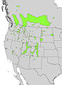 Betula occidentalis range map.jpg