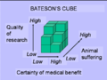 Bateson's cube x.png