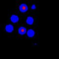 File:Automatic-Extraction-of-Nuclei-Centroids-of-Mouse-Embryonic-Cells-from-Fluorescence-Microscopy-pone.0035550.s003.ogv