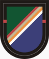 1 Bn 75 Ranger Regiment Beret Flash.PNG