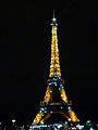 Eiffel tower's lights.jpg