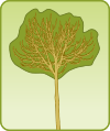 Tree 1270095 Nevit.svg