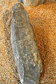 Bamberger Goetzen Einzeln 03 09.jpg