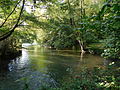 Bras du Nohain en aval du moulin de la Commanderie, Moulin-l'Évêque.jpg