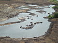 Berges Escaut lagunées méandres 2010 E.jpg