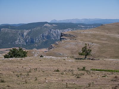 Landscape of the Sierra de Entzia mountain range. Beeches. Álava, Basque Country, Spain