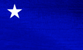 Bandera PLRA Paraguay Textura.png