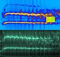 Winger ville vs FIR Bank sonogram.jpg