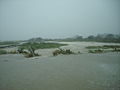 Flooded boardwalk near Toms Cove Visitor Center (6094140818).jpg