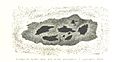 Image taken from page 113 of 'L'Espace céleste et la nature tropicale, description physique de l'univers ... préface de M. Babinet, dessins de Yan' Dargent' (11051572384).jpg