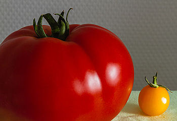 2013 09 10 Tomate.jpg