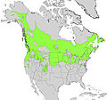 Cornus sericea ssp sericea range map.jpg