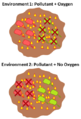 Hartsock Aerobic Anaerobic Bioremediation Examples.png