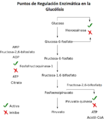 Regulación glucolisis 2.png