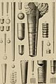 Die Versteinerungen des rheinischen Schichtensystems in Nassau. Mit einer kurzgefassten Geognosie dieses Gebietes und mit steter Berücksichtigung analoger Schichten anderer Lander (1850) (14597542858).jpg