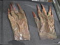 Kwangu'l gloves (UBC-2010).jpg