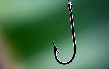 Fish-hook.JPG