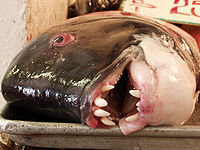 Fishmarket 01.jpg