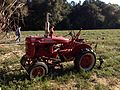 Farmall Tractor in field.JPG