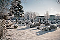 Alter Friedhof Recke 1.jpg