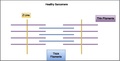 Normal Sarcomere.pdf