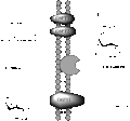 Figure 1 (Glucose-6-Phosphate Hydrolysis in the G6Pase complex).gif