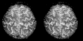 High Resolution FMRI of the Human Brain.gif