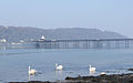 Bangor, Gwynedd, Wales - Pier.jpg
