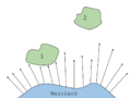 Insular Biogeography (Distance).png
