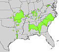 Celtis tenuifolia range map.jpg
