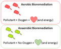 Hartsock Aerobic Anaerobic Bioremediation Modes.png