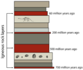 Relative dating of fossils.png