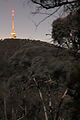 Telstra Tower, Canberra, from Aranda Nature Reserve at night.JPG
